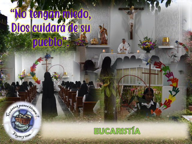 946B4EF5-B24C-40C2-8666-06DE4E3B284D-640x480